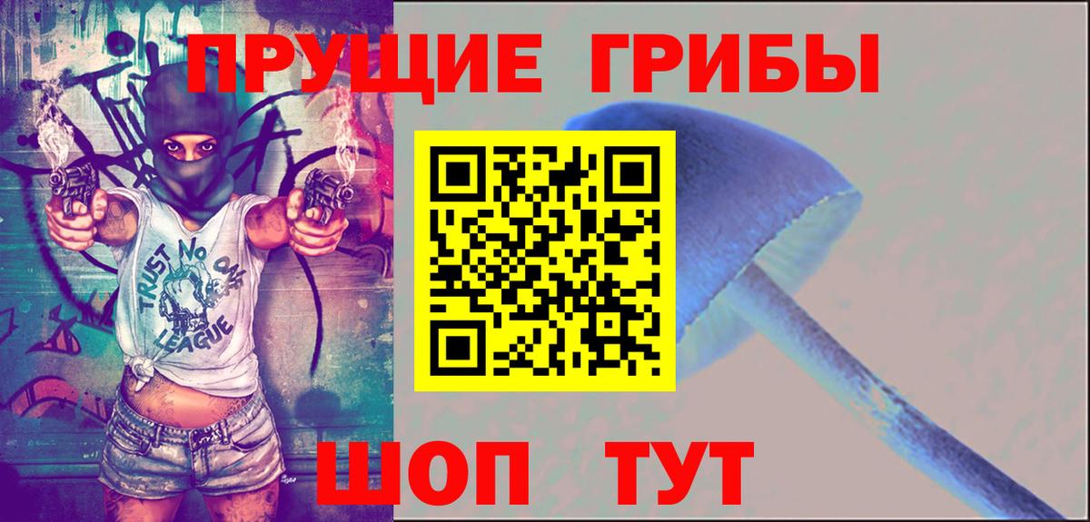 Можайск  Псилоцибиновые грибы мухоморы  Вход с VPN 